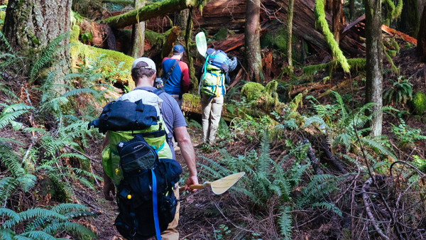 Hiking into Eagle Creek on Trail #501