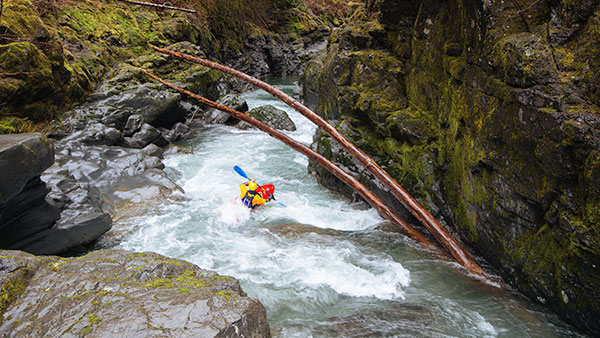 Kayaking on the Elk River