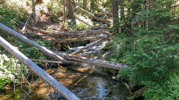 Oregon's Fifteenmile Creek