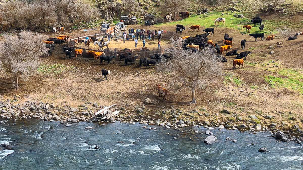 Cowboys along the Imnaha River