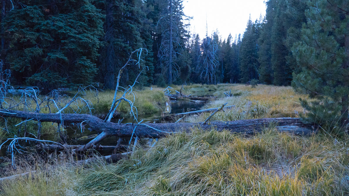 The Little Deschutes River