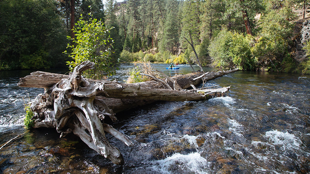 Kayaking on the Metolius River