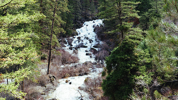 Izee Falls on the South Fork of the John Day River