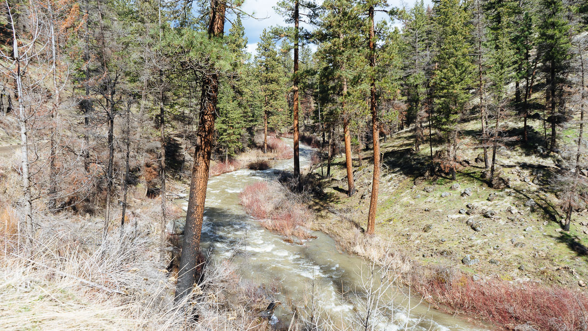 South Fork John Day River