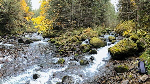 Confluence with Roaring River and South Fork Roaring River